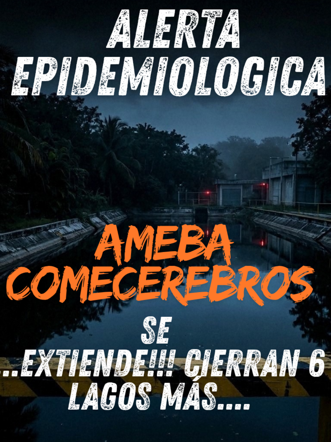 @Dr Toto en Redes | médico