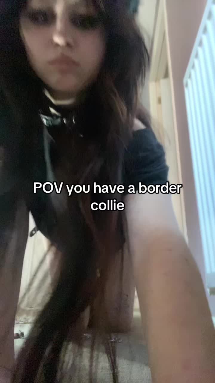 @r4venbarkz