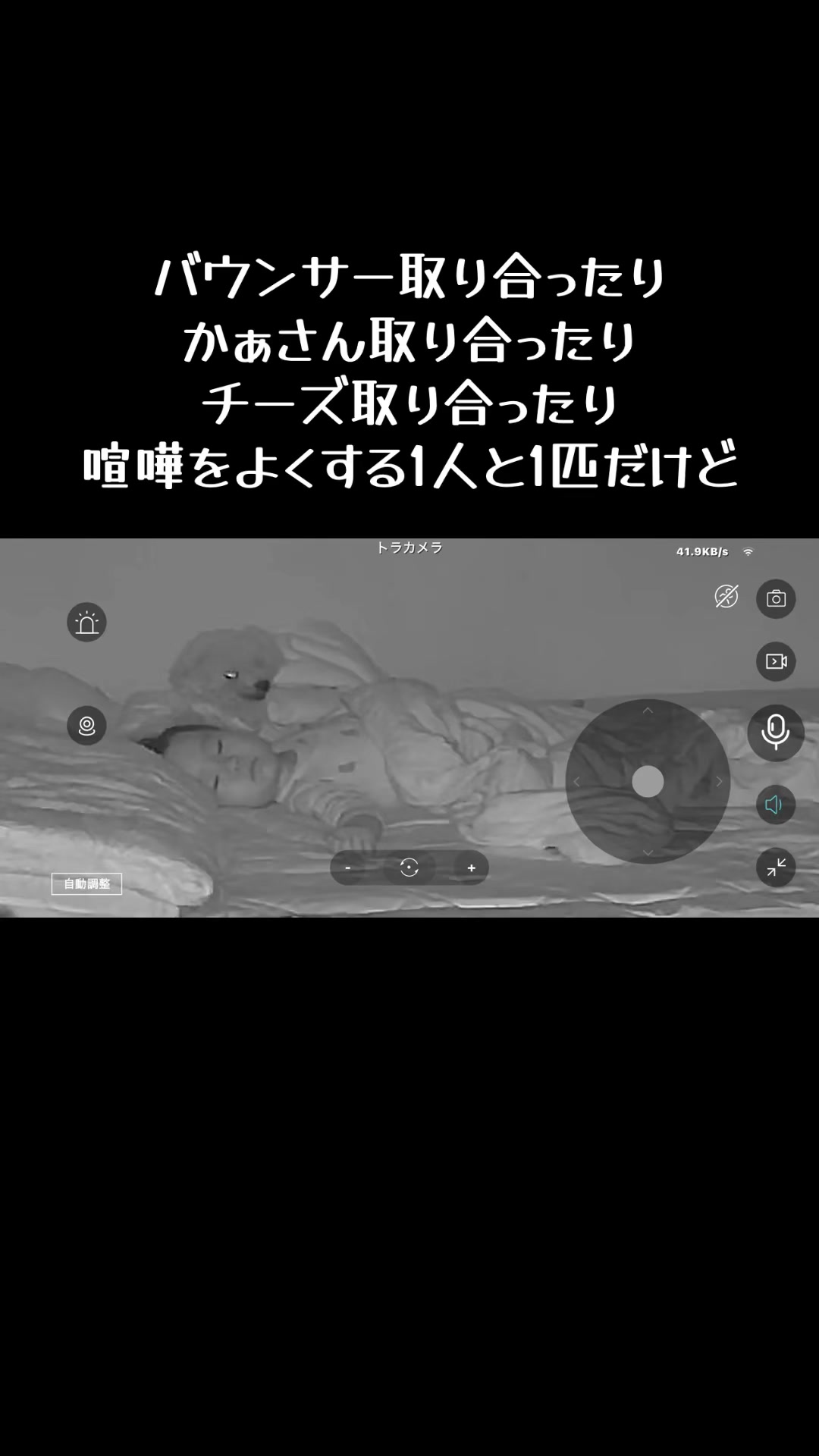 @とらままんち