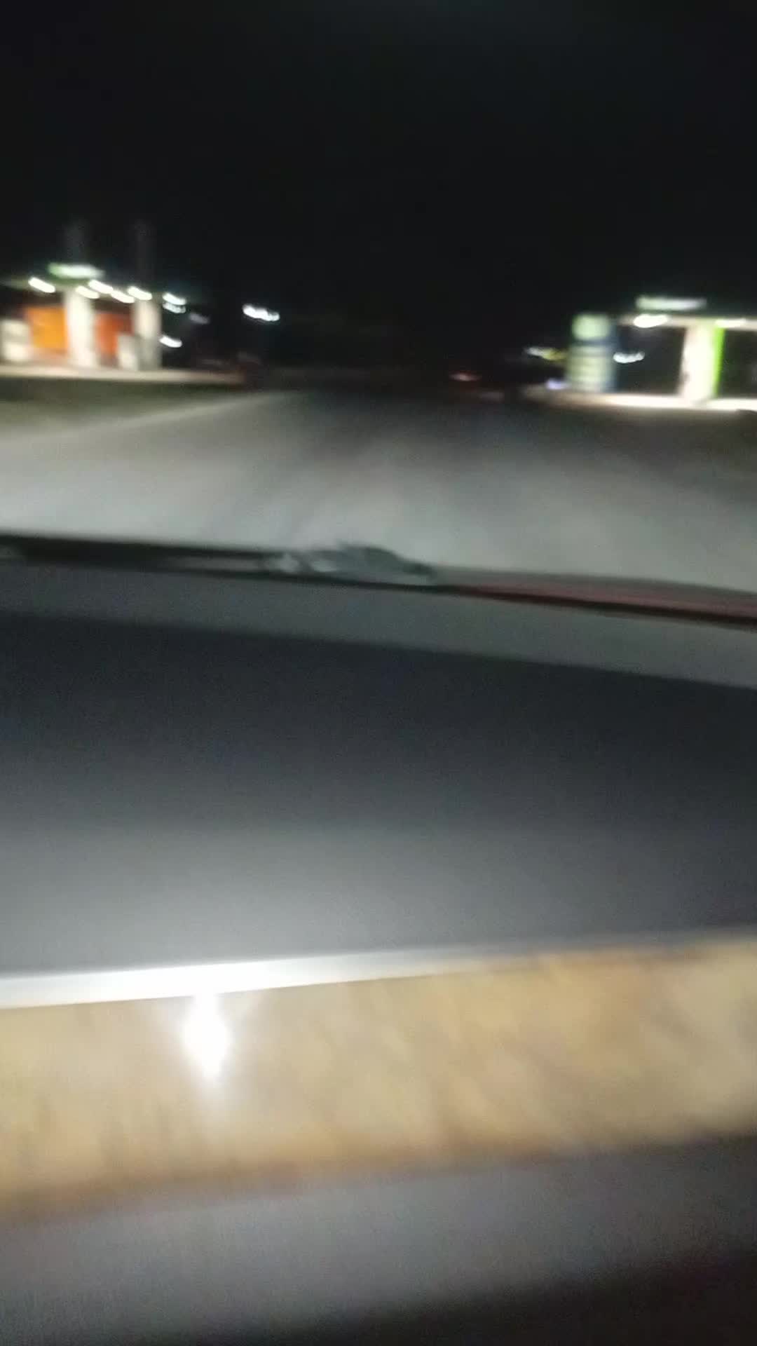 @Mandi🇦🇱🦁