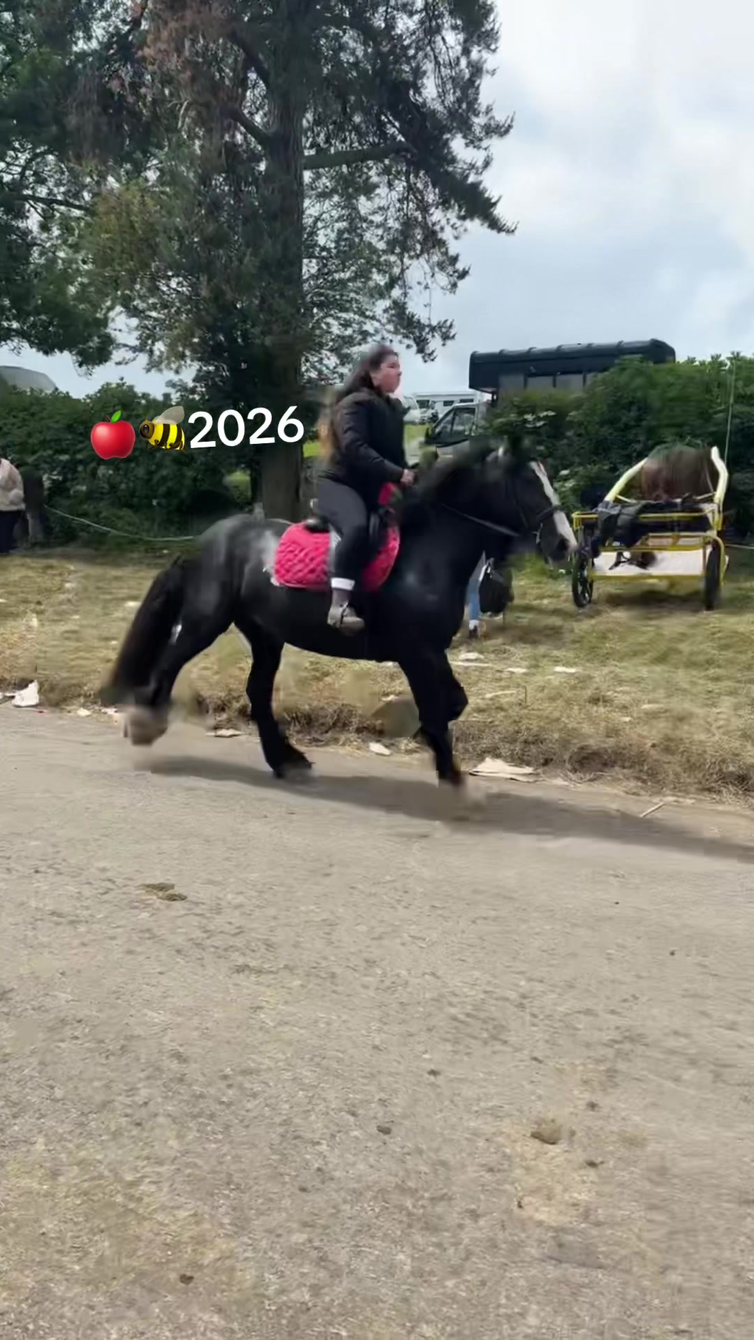 @âïžđđ đđȘđđ¶đČđ·đźđ đâïž