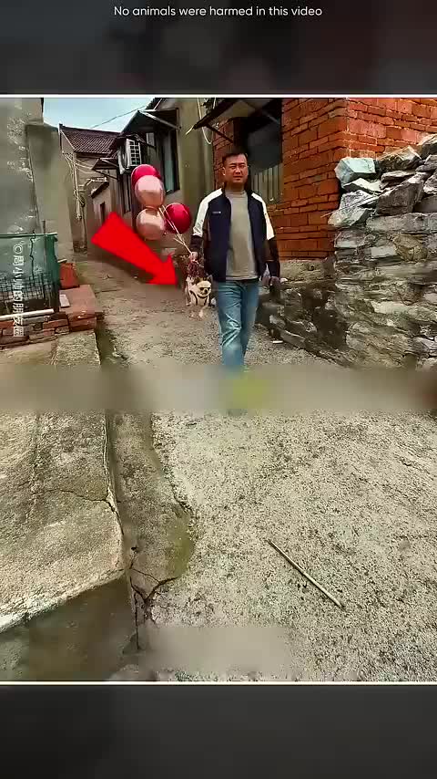 @فانز محمد شيخ
