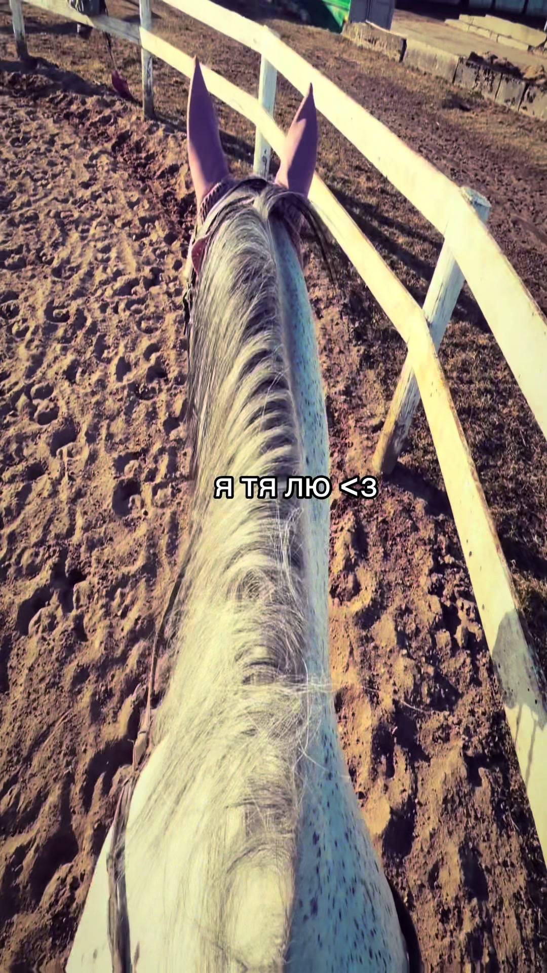 @𝐦𝐨𝐫𝐤𝐨𝐯𝐧𝐢𝐜𝐚🥕 ྀིྀ