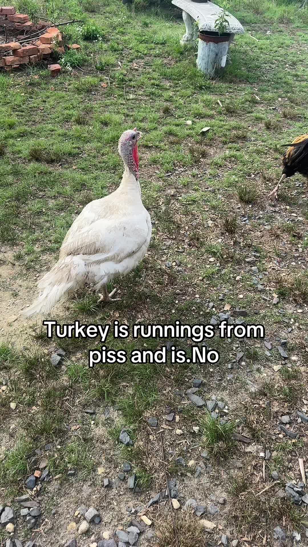 @No