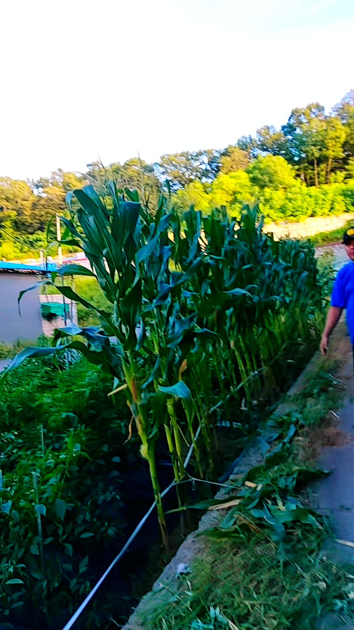 @बाग्लुङ्गेजनक🇰🇷🇰🇷