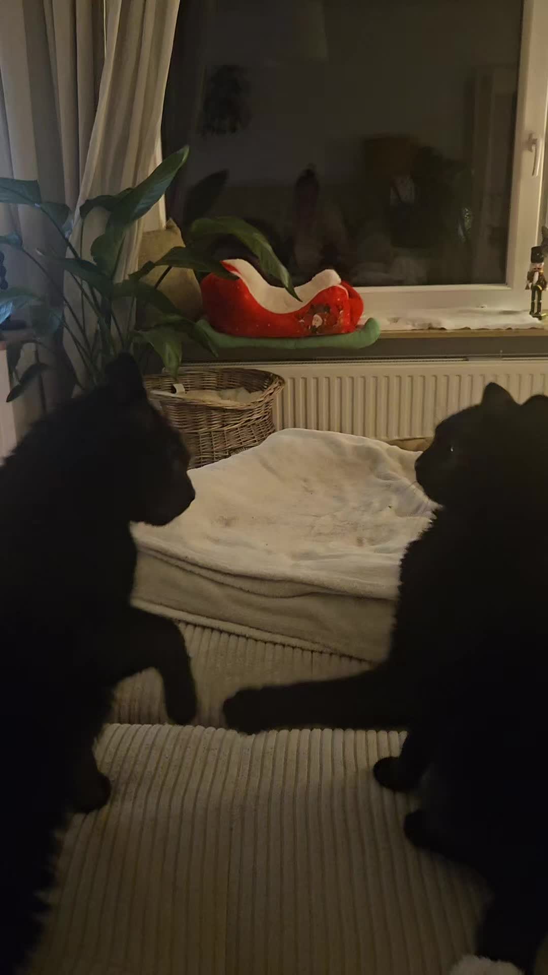 @Täni Bänäni