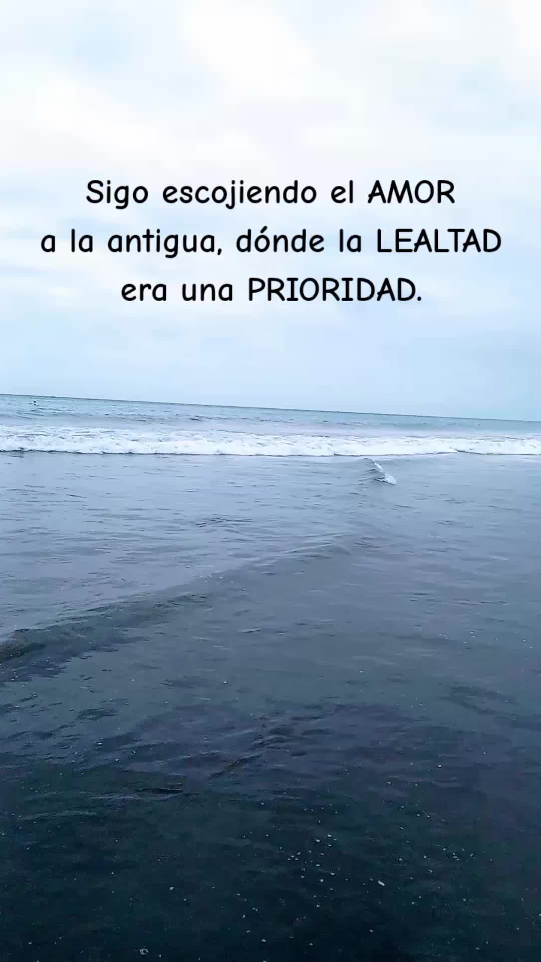 @Nani Torres