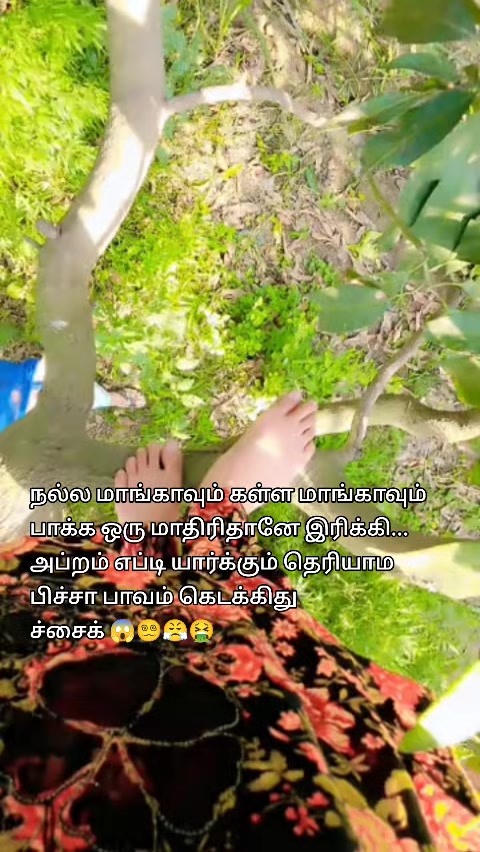 @Princesz hasna