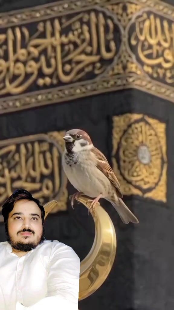 @Syed Nabeel Jamshaid