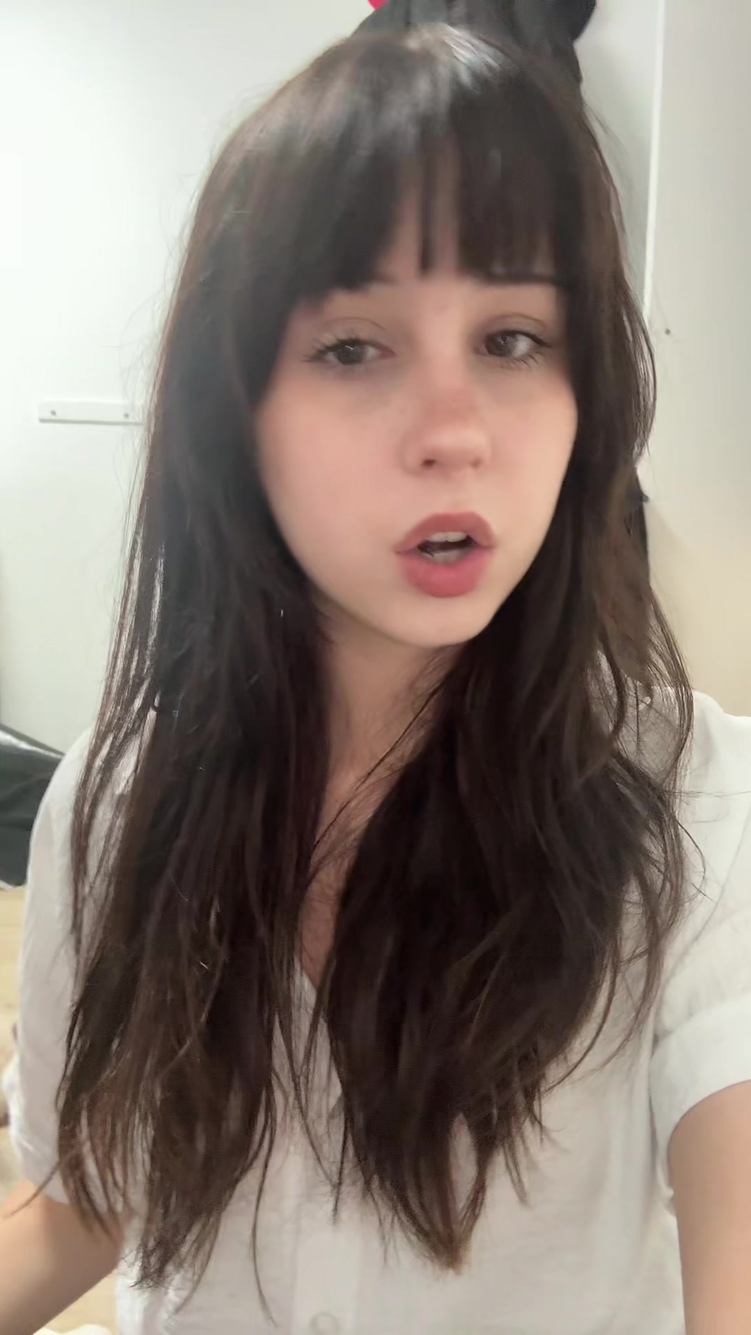@llupss_