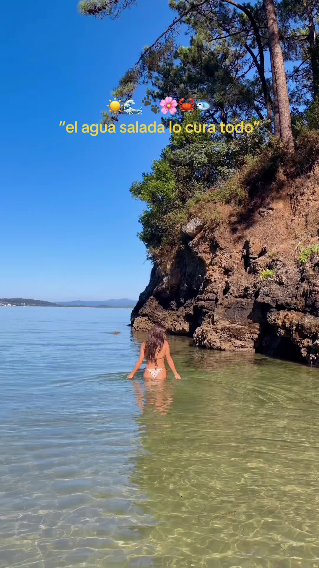 @LAUЯA☪️