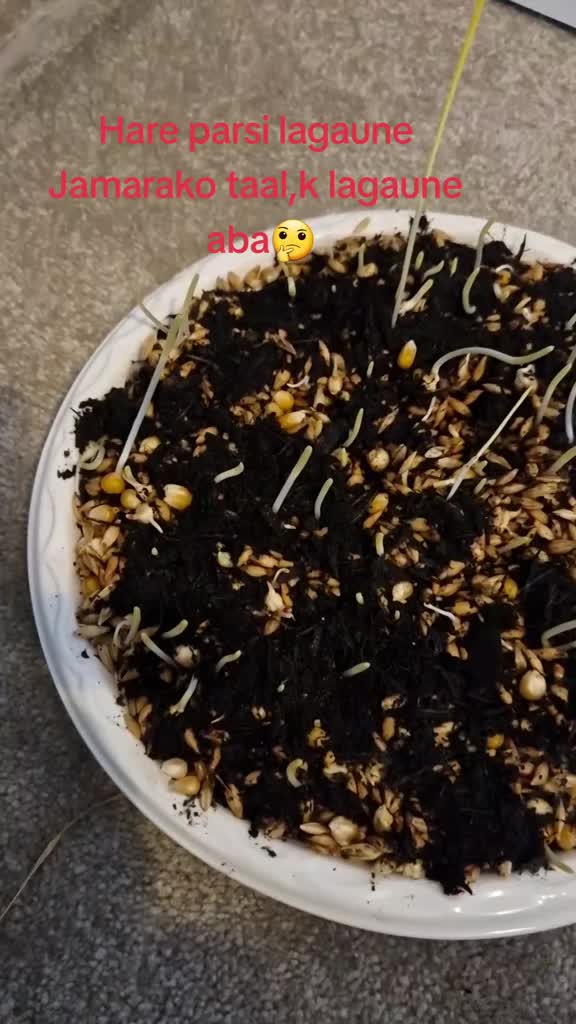 @प्रज्ञा राज्यलक्ष्मी राणा