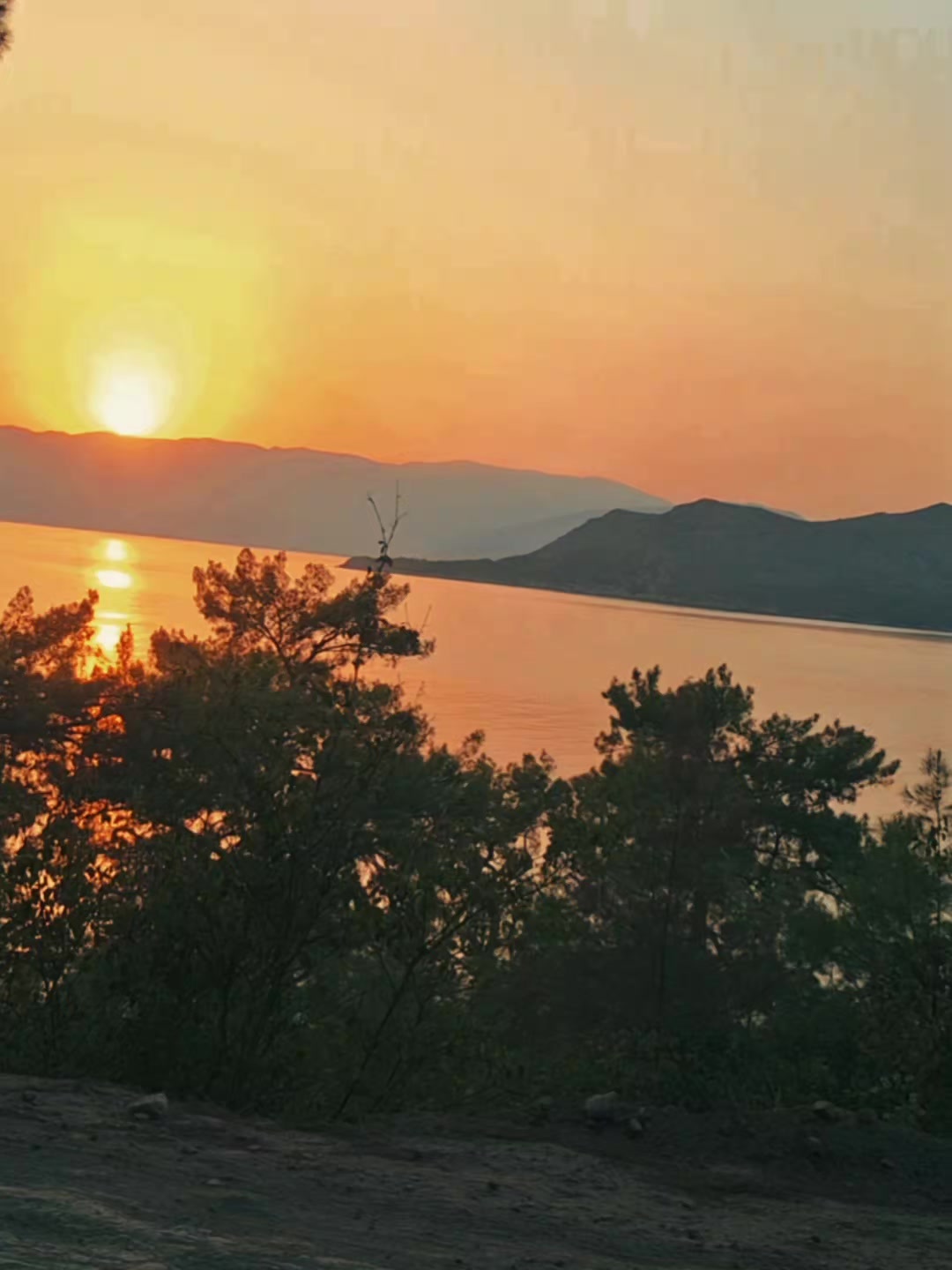 @03 Yanlız 🐺KURT 🤘🤘 🇹🇷🇹?