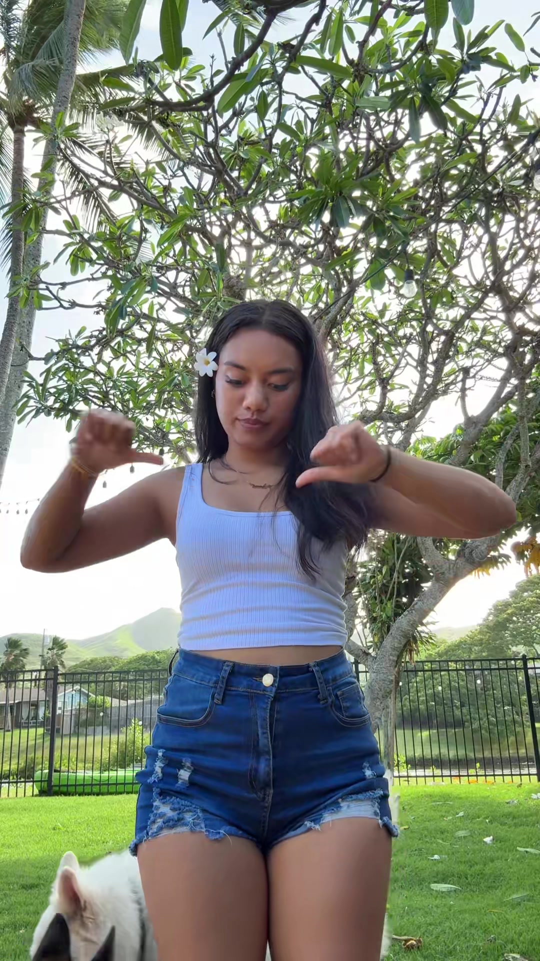 @💃