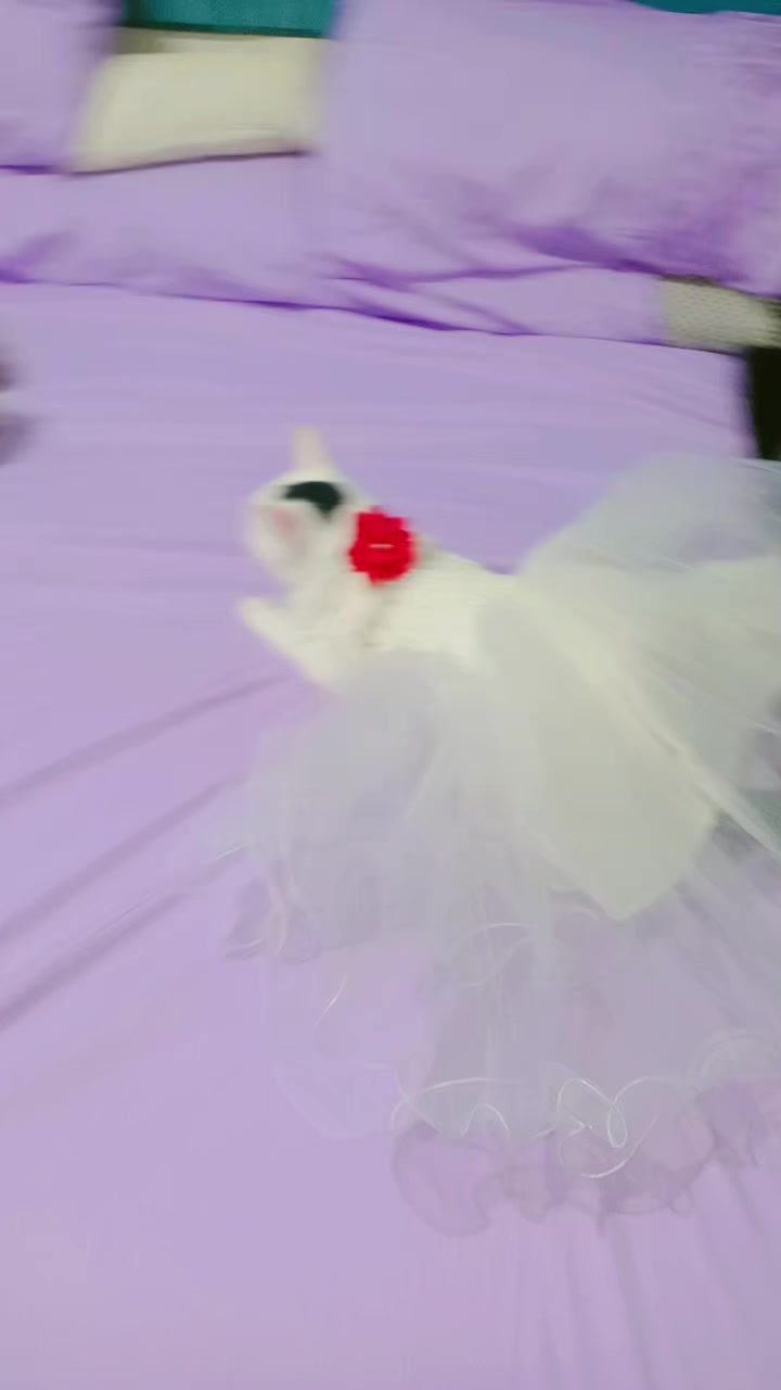 @Ghada _Al_Abyari_ غادة