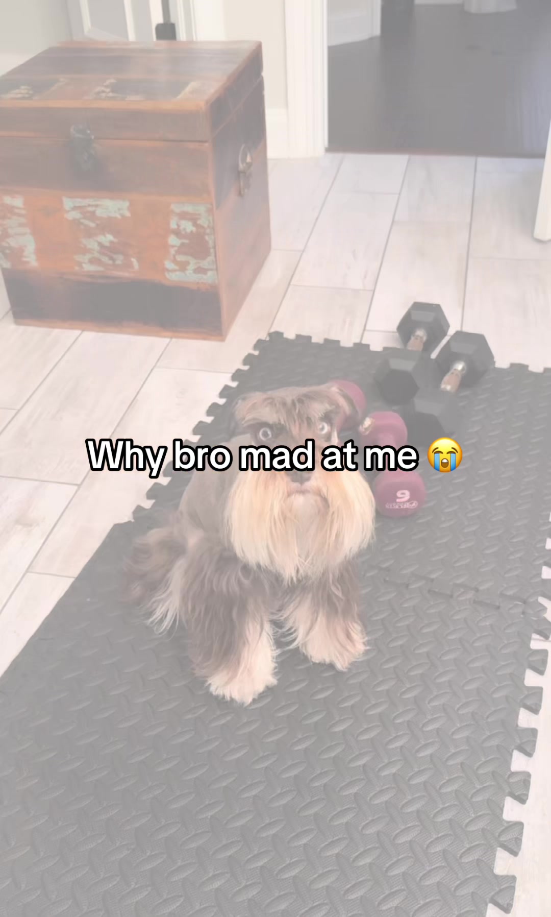 @Hxbitz