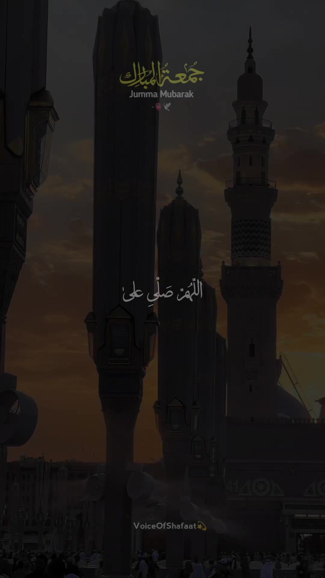 @VoiceOfShafaat💫