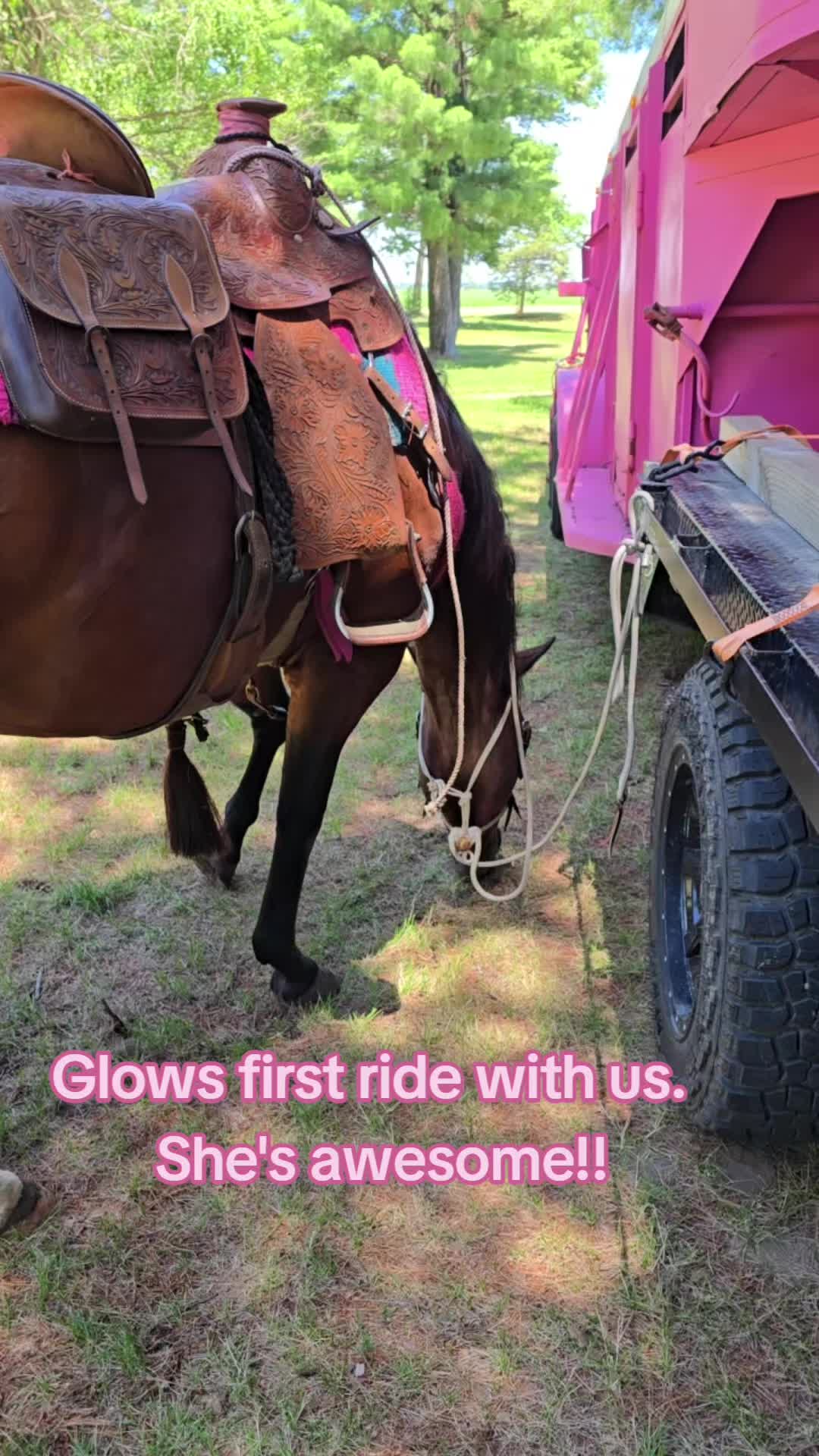@Small Town Farm LLC