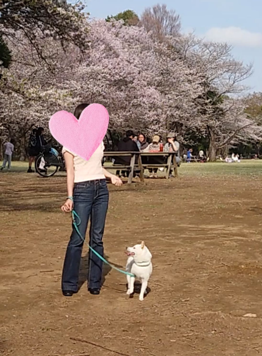 @Mochimaru