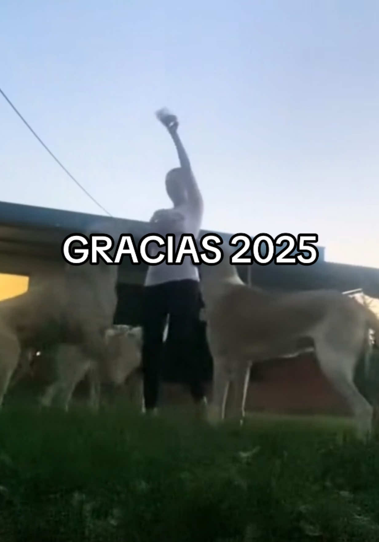 @Ro