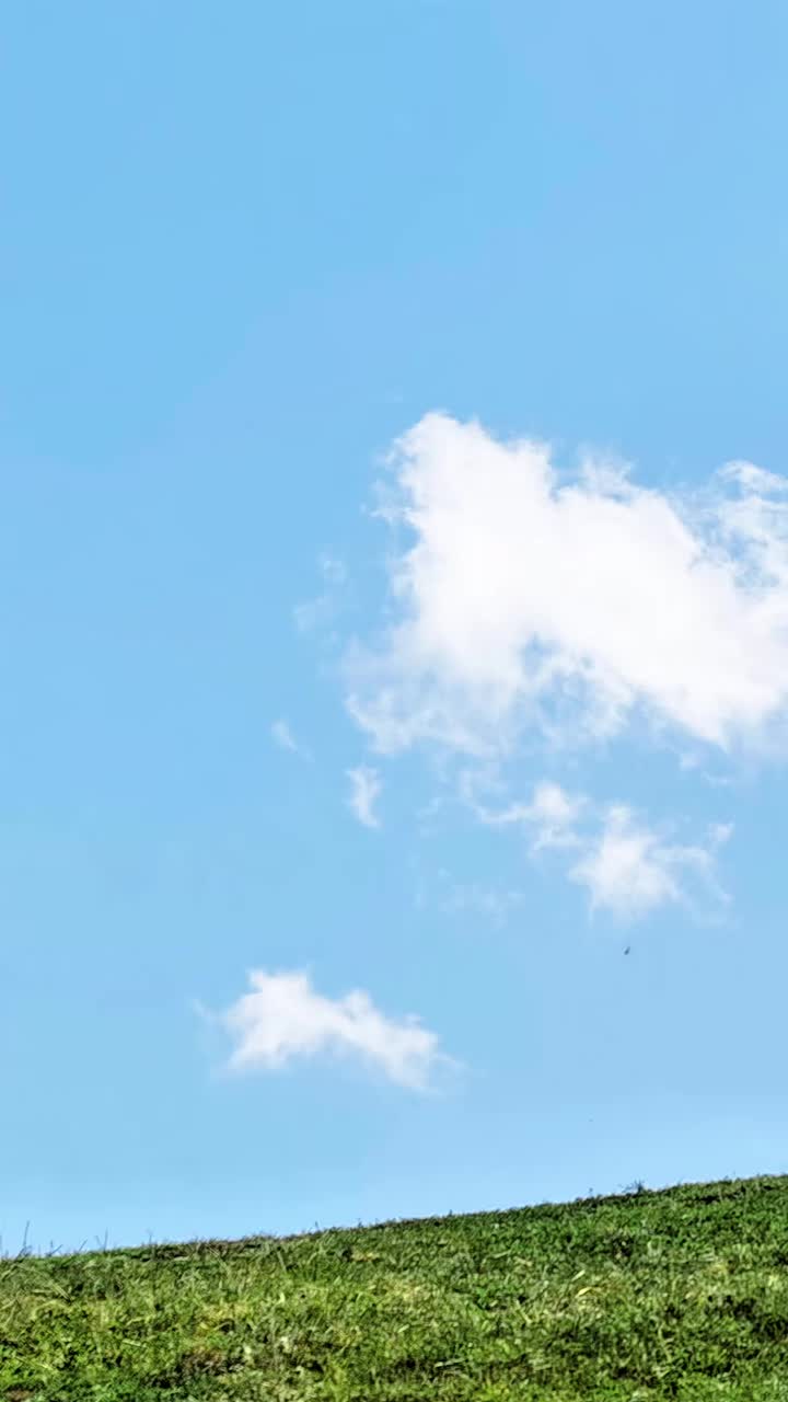 @—Z 🧸♡