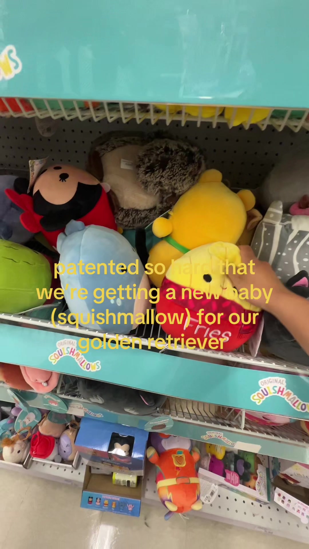 @MJ
