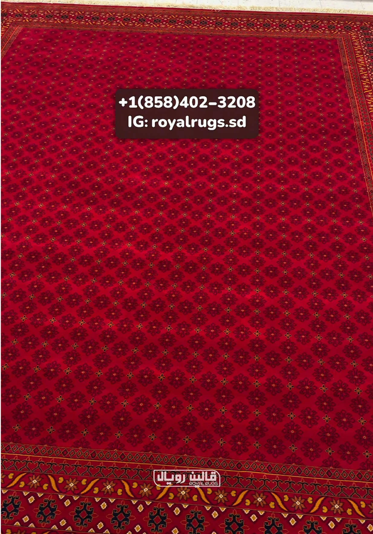 @Royal Rugs - قالین فروشی رویال