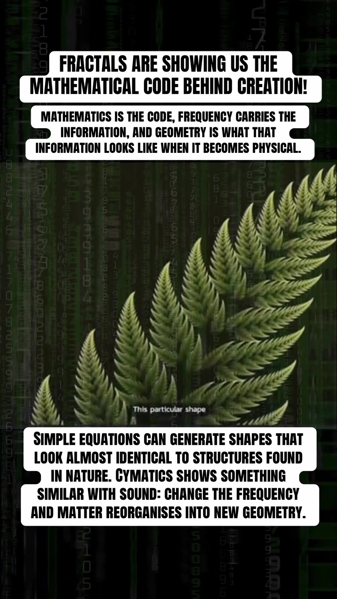 @Mind Awake | Reality Decoded