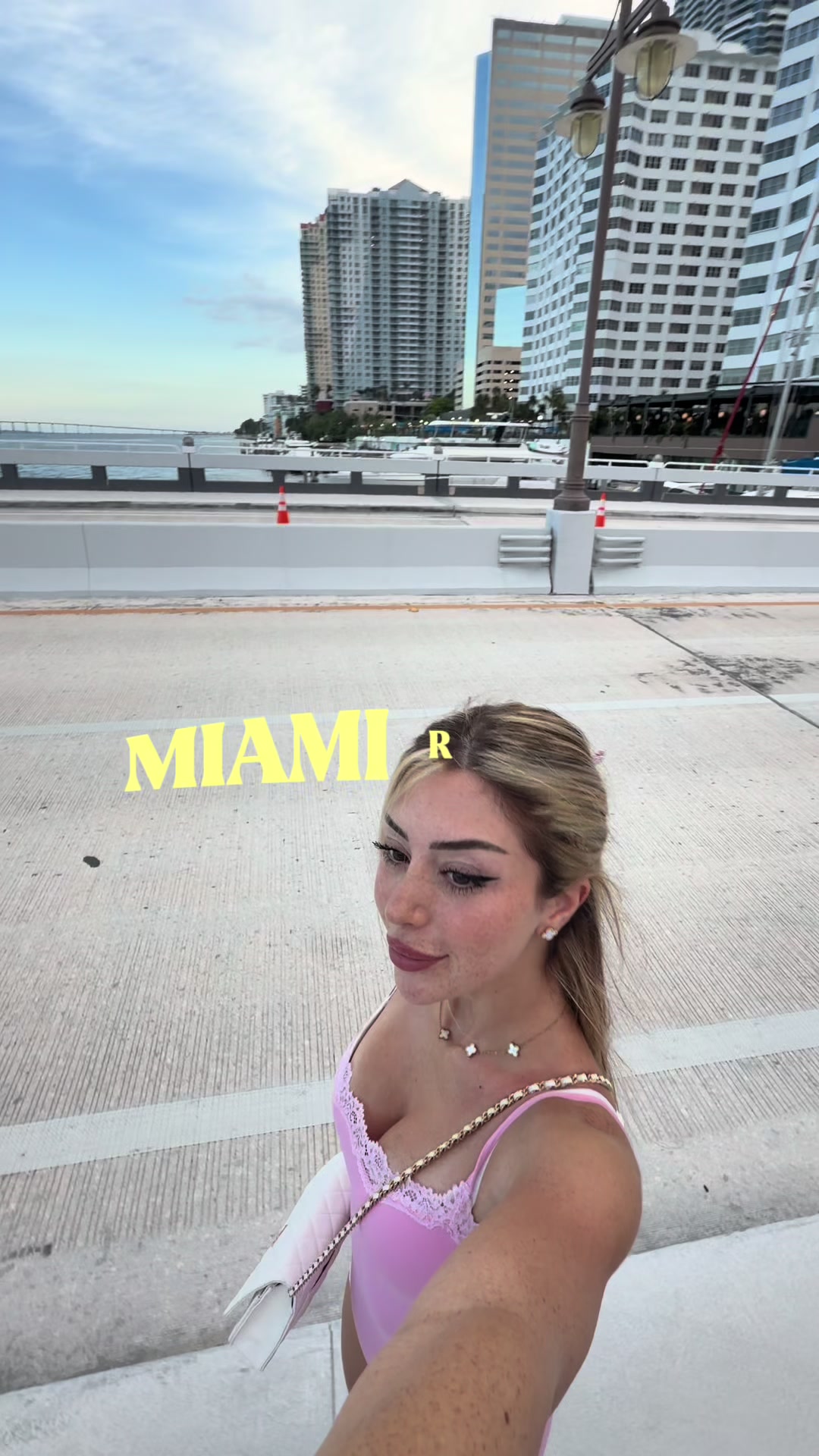 @vinamiledy