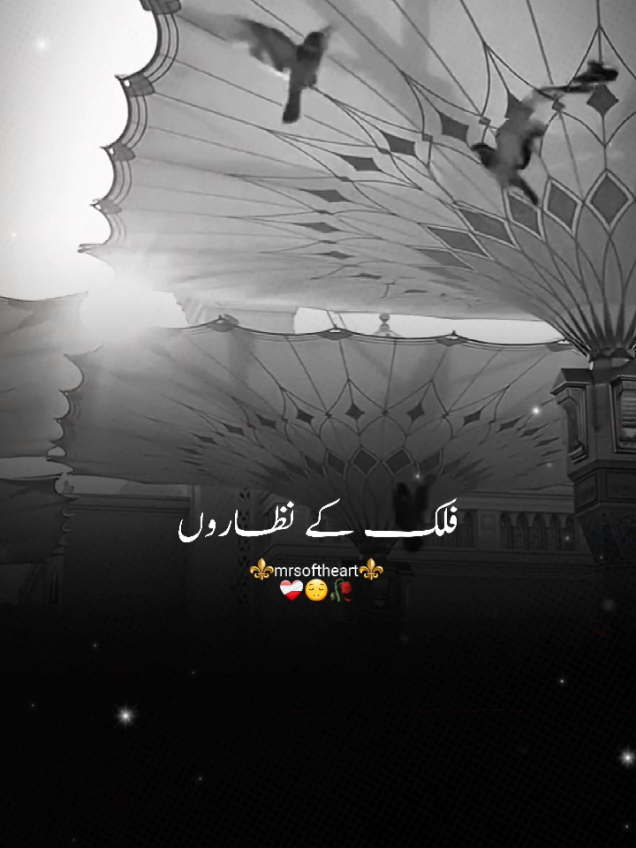 @💖zia _editz 💖