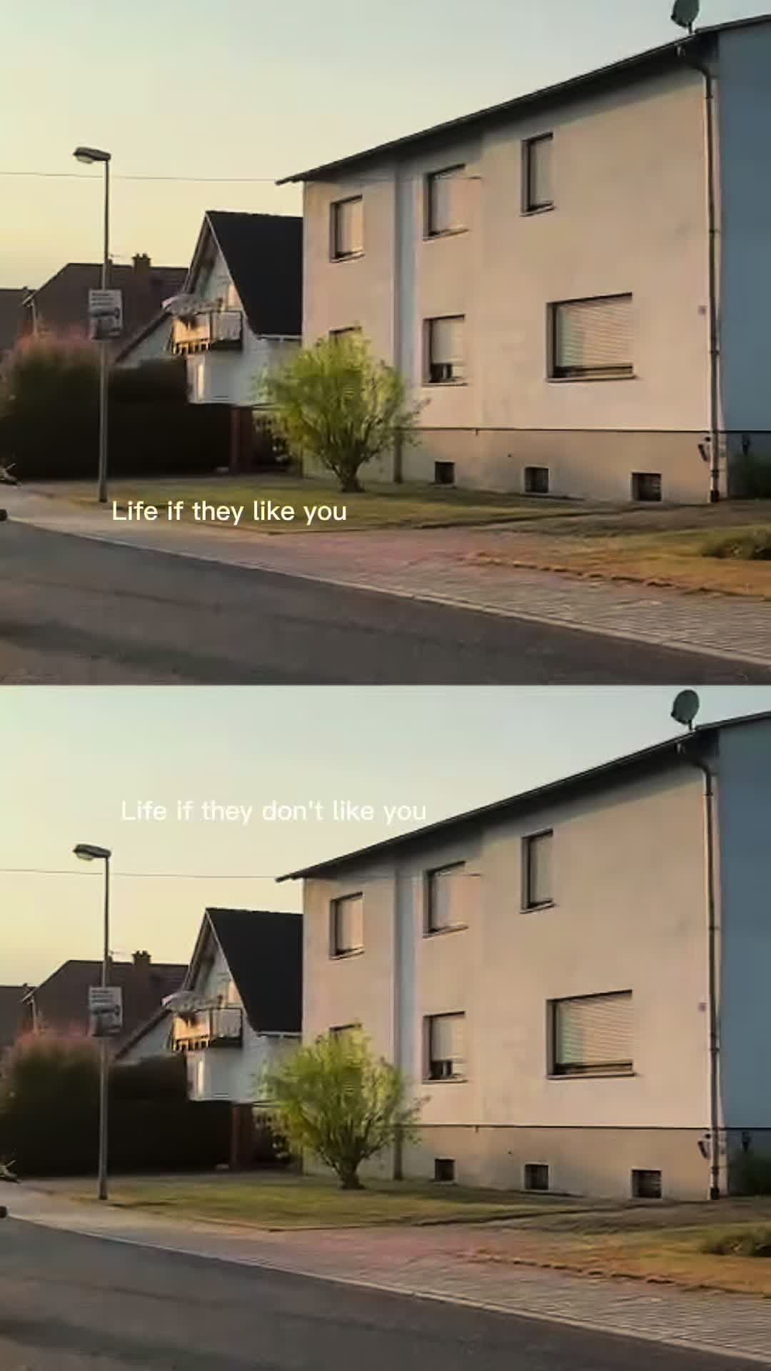 @🤍
