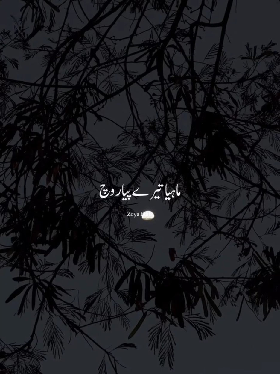 @𝐙𝐨𝐲𝐚 𝐄𝐝𝐢𝐭𝐳 💫