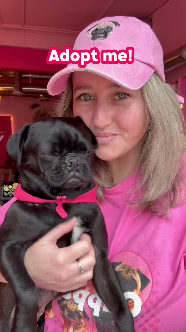 @CuppaPug