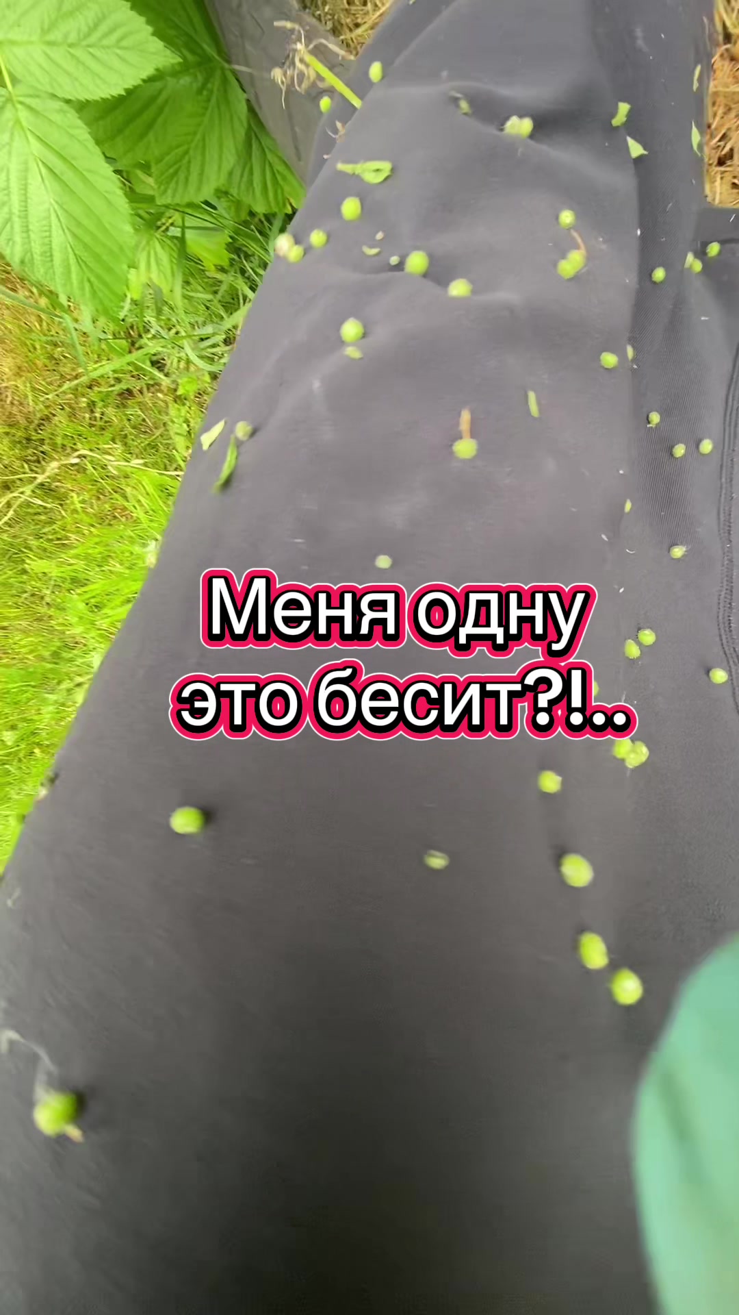 @Алёна_феникс