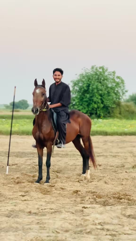 @Ch Hammad bokan ♥️🐎