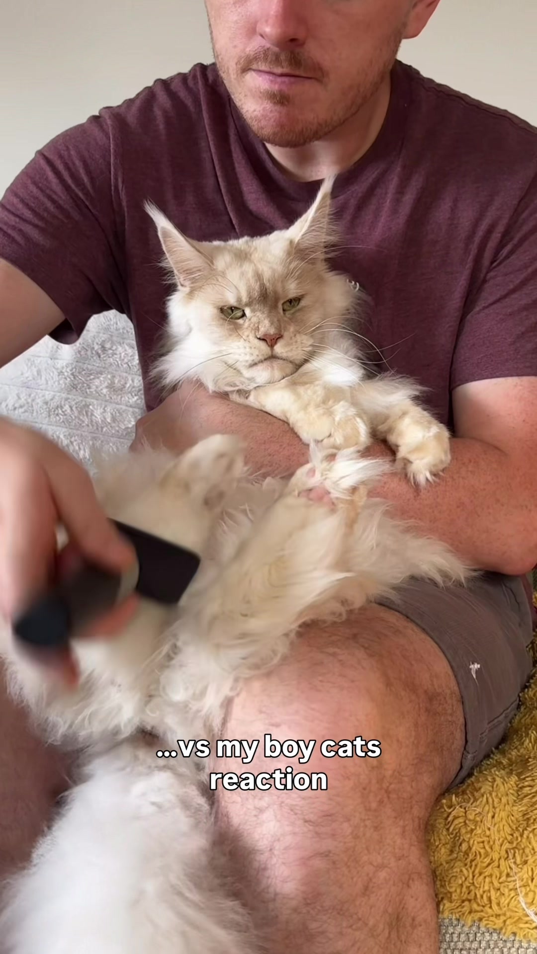 @lola_and_popps