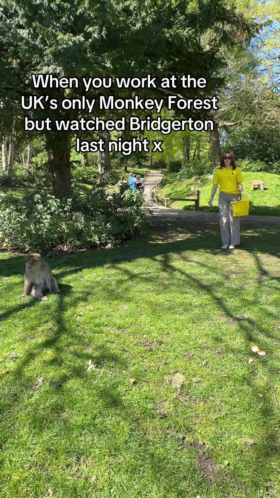 @Monkey Forest