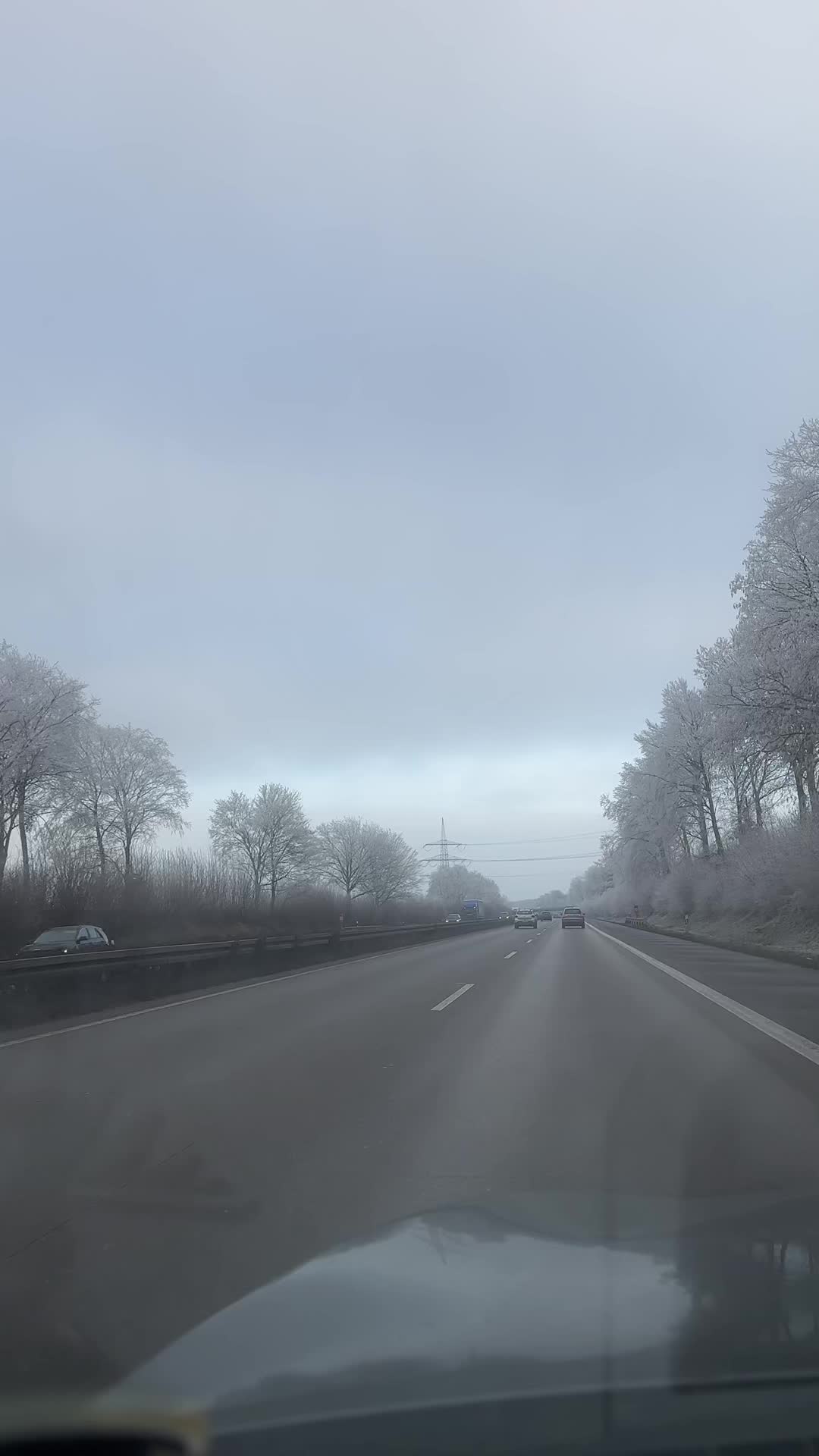 @Счастливая Эл