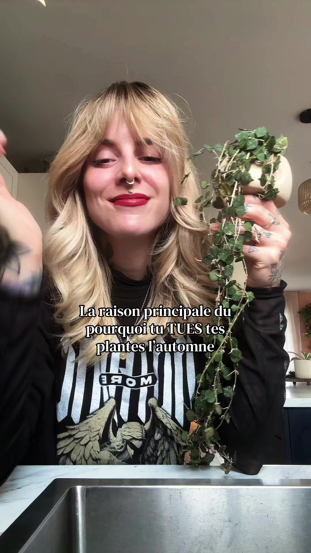 @Laura | Plants & Home decor