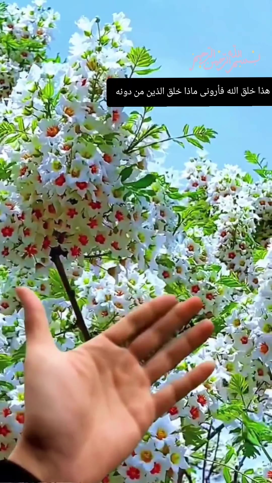 @رحمتك يارب