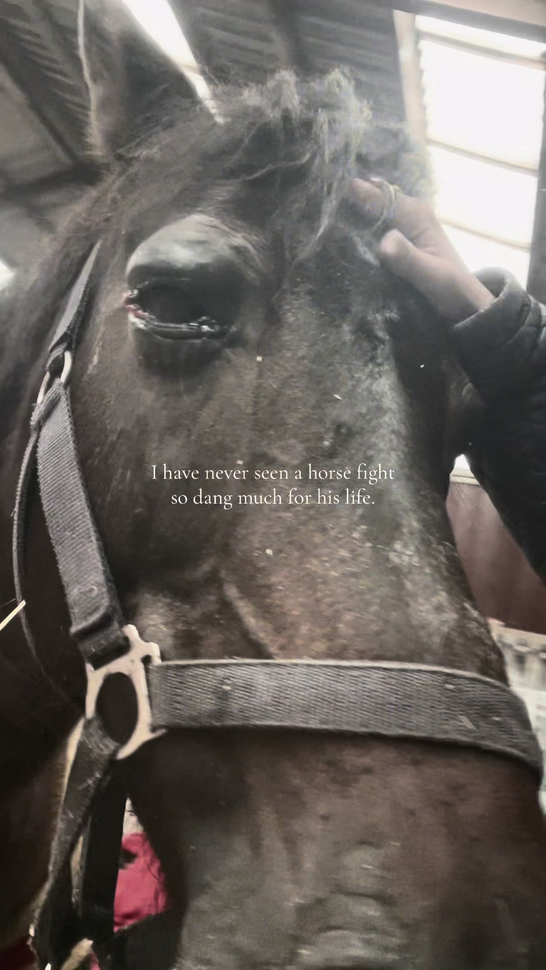 @𝓢𝓲𝓰𝓻𝓲𝓭