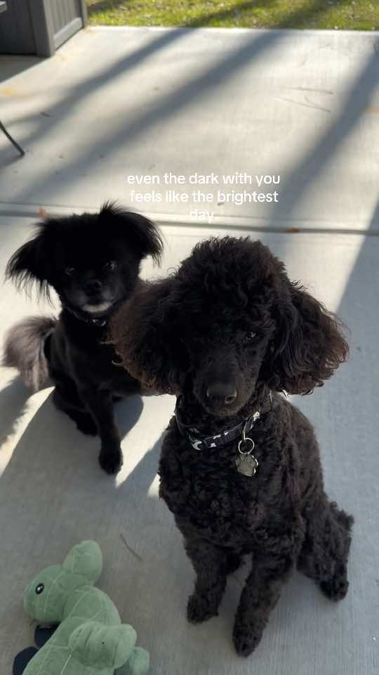 @cashandbentley_