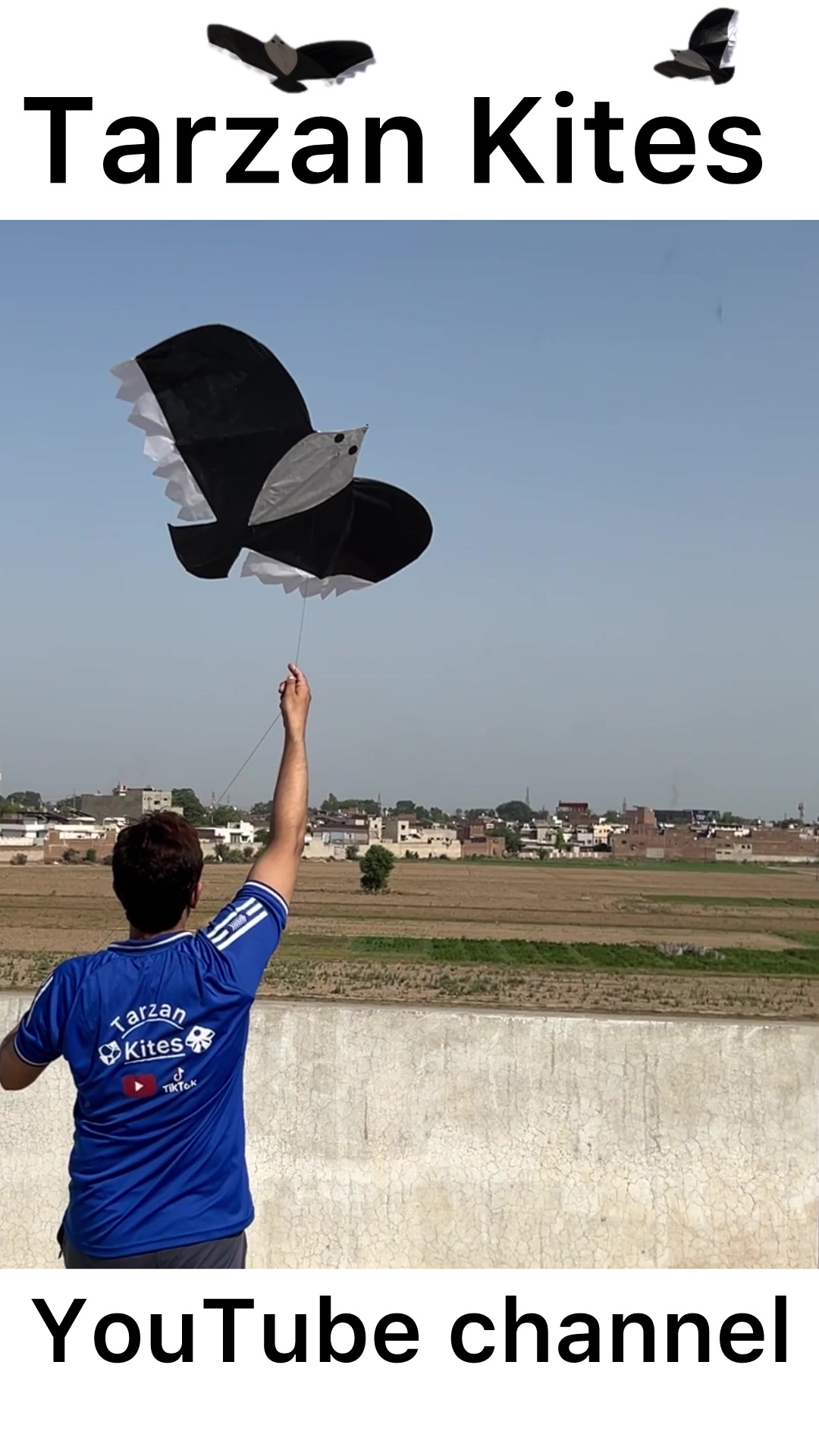 @Tarzan Kites