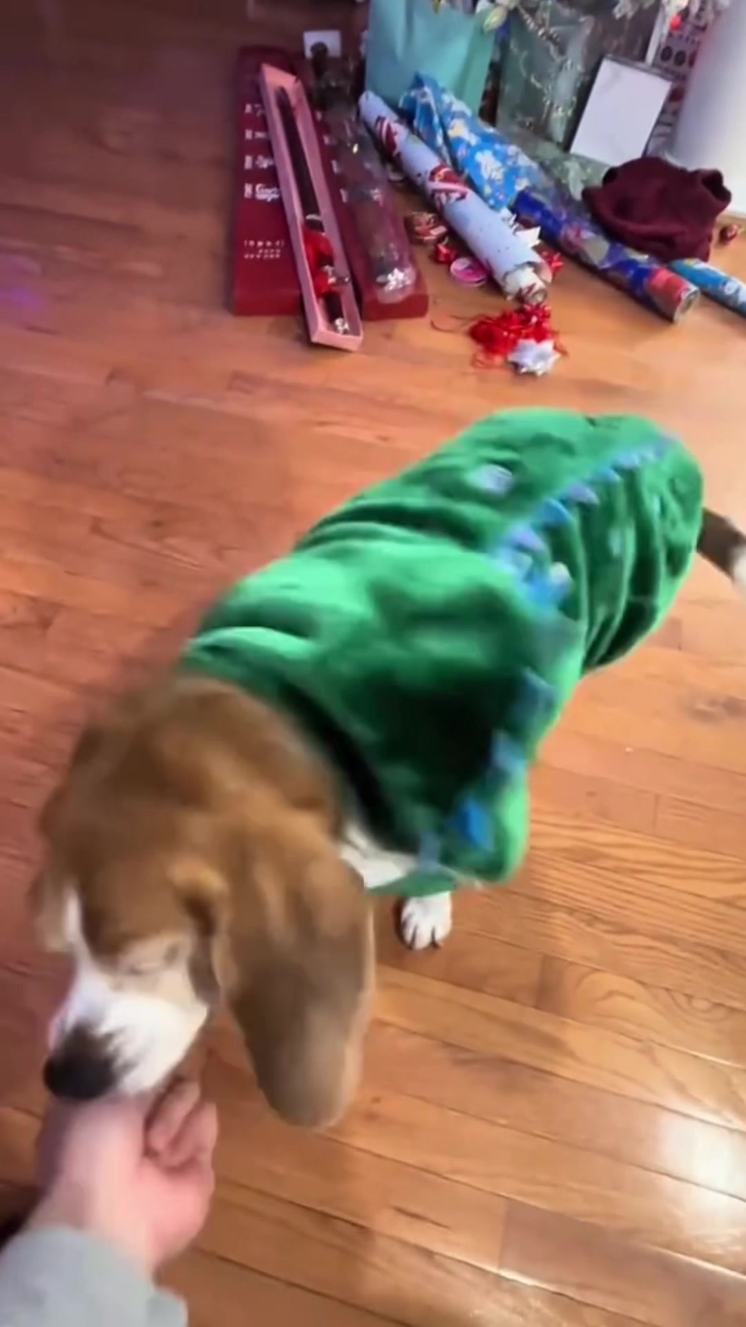 @FunnyAnimals