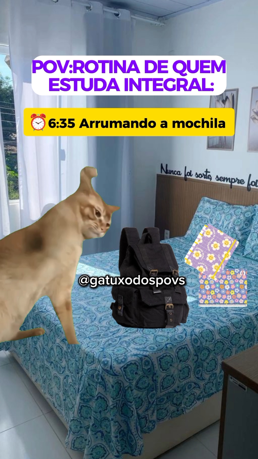 @Gatuxo Dos Povs Ofc