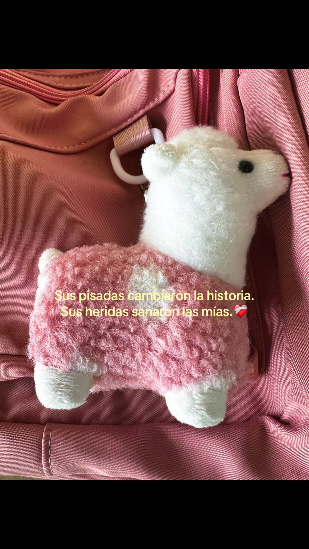 @Anye🦢🎀
