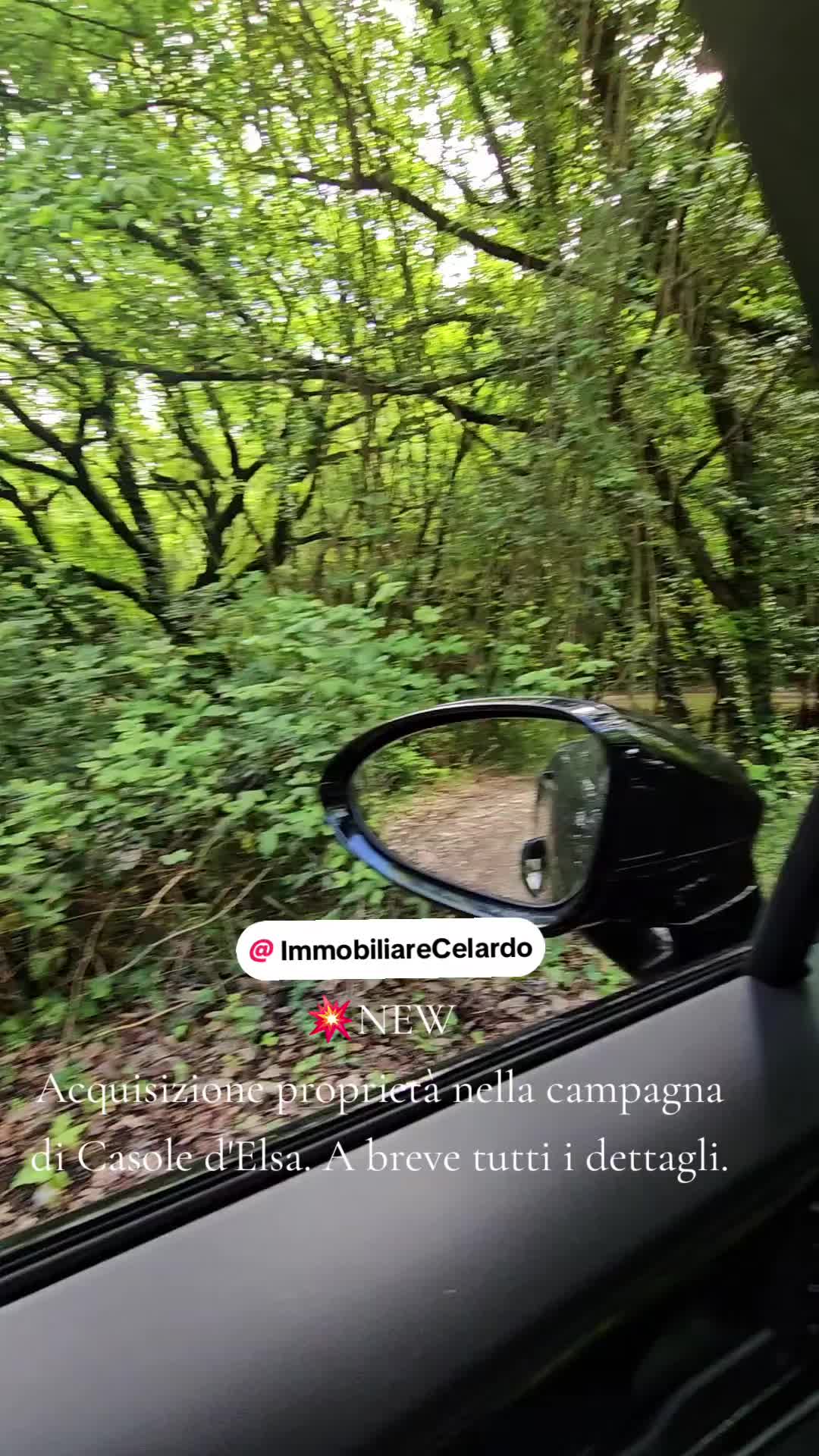 @massimiliano celardo