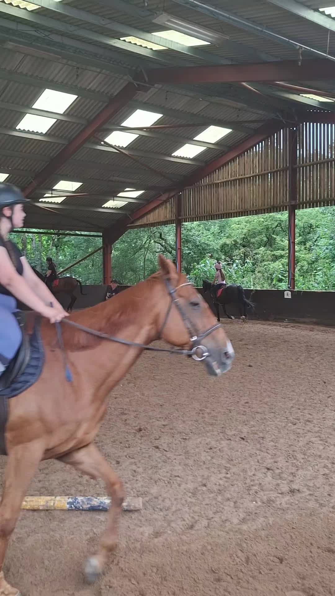 @Scarlett🐴🌾