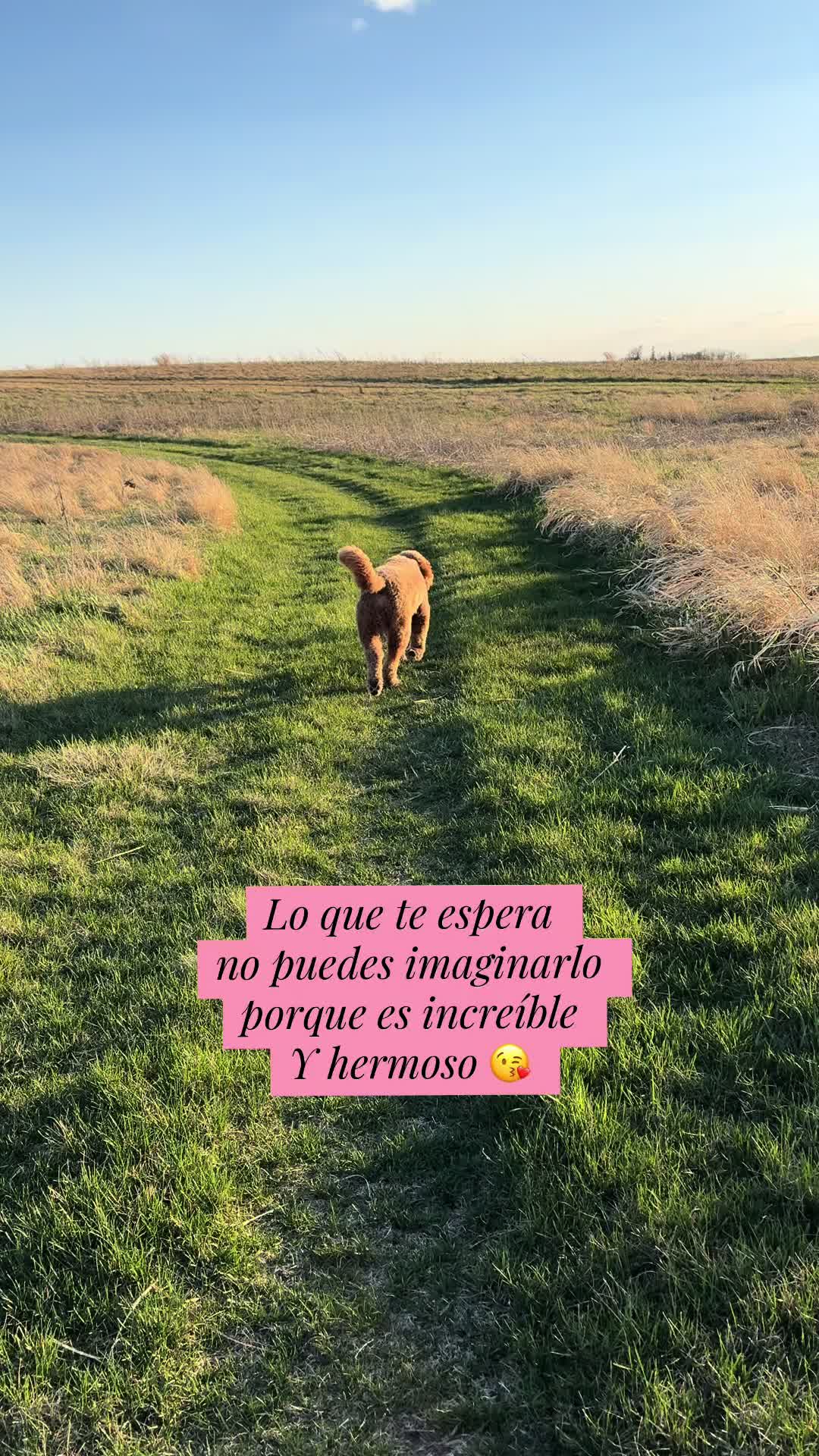 @Reyna y Churro 🐶😍
