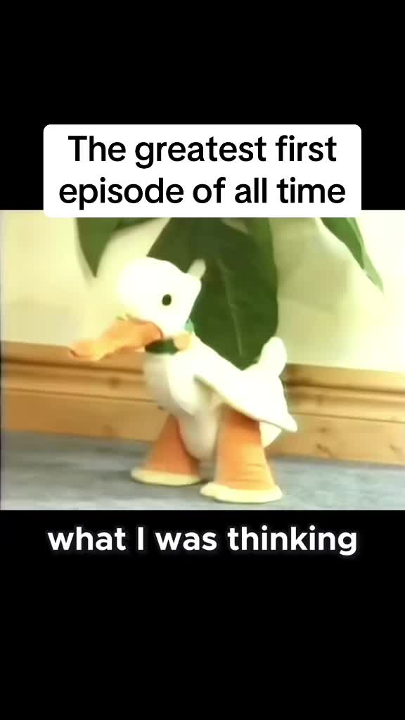 @OldBearSquad